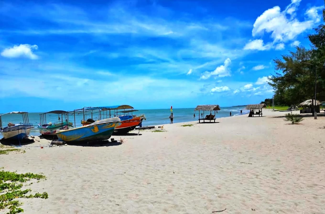 Scenic luxury travel image describing Casuarina Beach - View 2