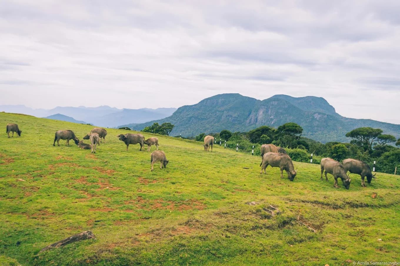 Scenic luxury travel image describing Moon Plains - View 2