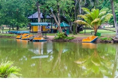 Scenic luxury travel image describing Viharamahadevi Park Aquarium - View 4